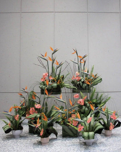 A collection of potted tropical floral arrangements featuring green plants, orange bird of paradise flowers, and pink anthuriums, displayed against a light gray tiled wall.