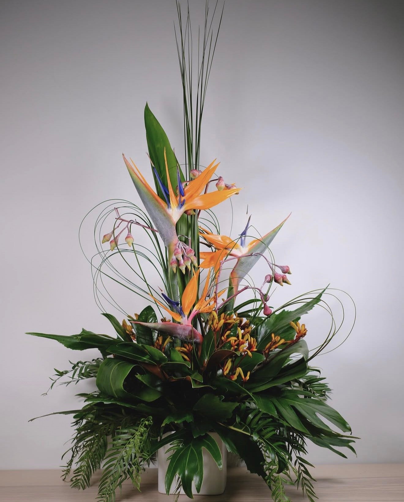 A tropical floral arrangement in a white ceramic pot, featuring vibrant orange and blue bird of paradise flowers, green monstera leaves, and long, thin green filler stems against a neutral gray background.