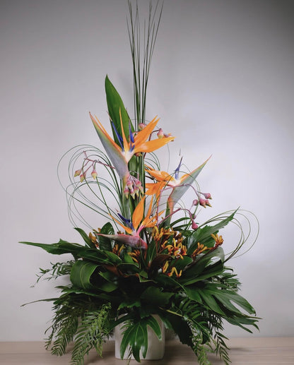 A tropical floral arrangement in a white ceramic pot, featuring vibrant orange and blue bird of paradise flowers, green monstera leaves, and long, thin green filler stems against a neutral gray background.