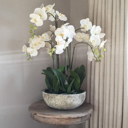 An arrangement of white orchid stems in a stone bowl flower delivery