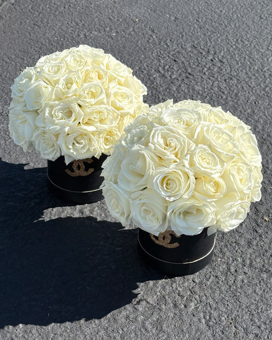 White rose box with pristine velvety petals in a minimal modern design, Playa Blanca