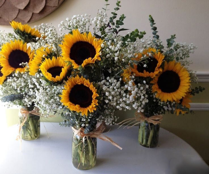 Cheerful bouquet of sunflowers with delicate white baby’s breath in a vase, handcrafted for same day delivery.
